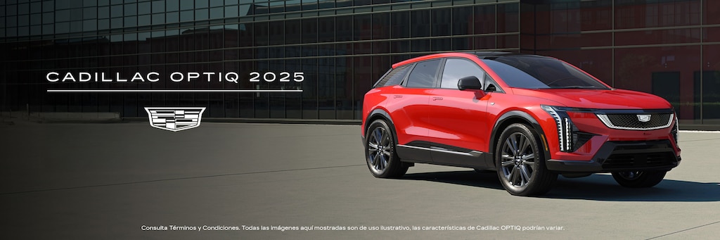 Nueva Optiq 2025